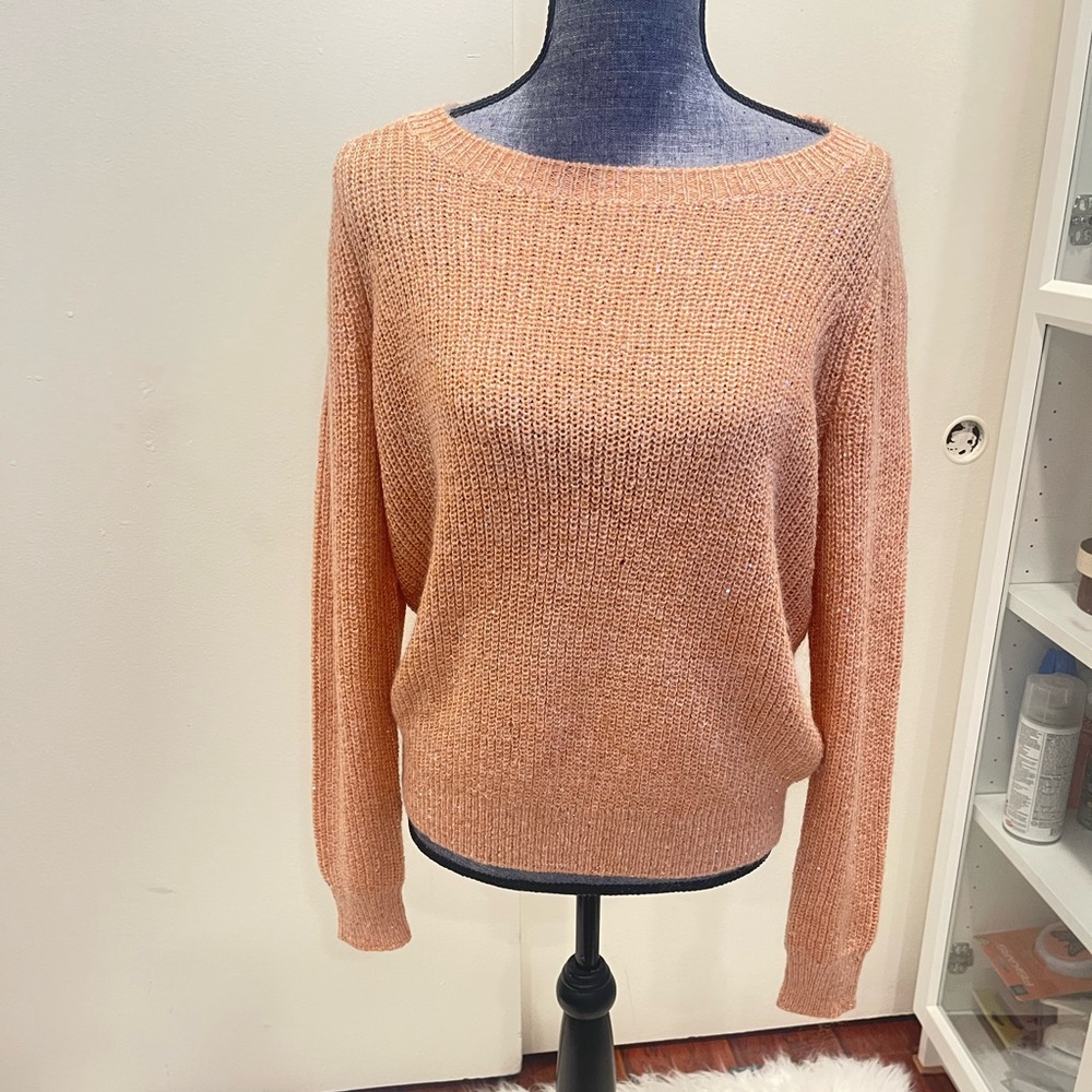 Nwot Ann Taylor sequin sweater, medium